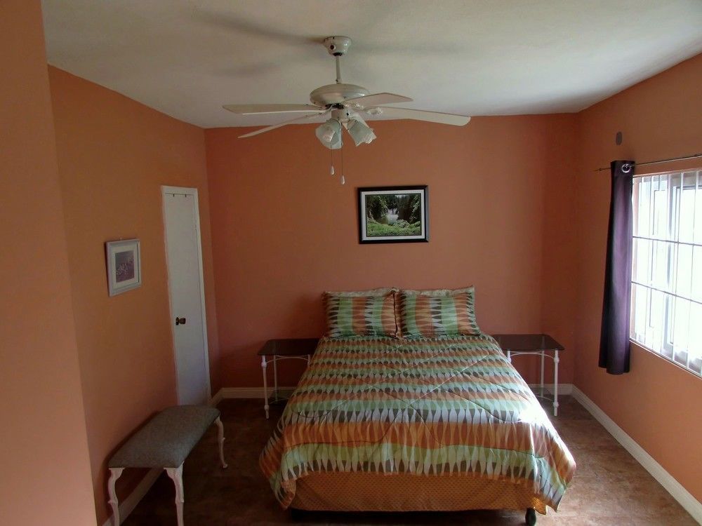 קינגסטון Centrally Located Guest Apartments מראה חיצוני תמונה