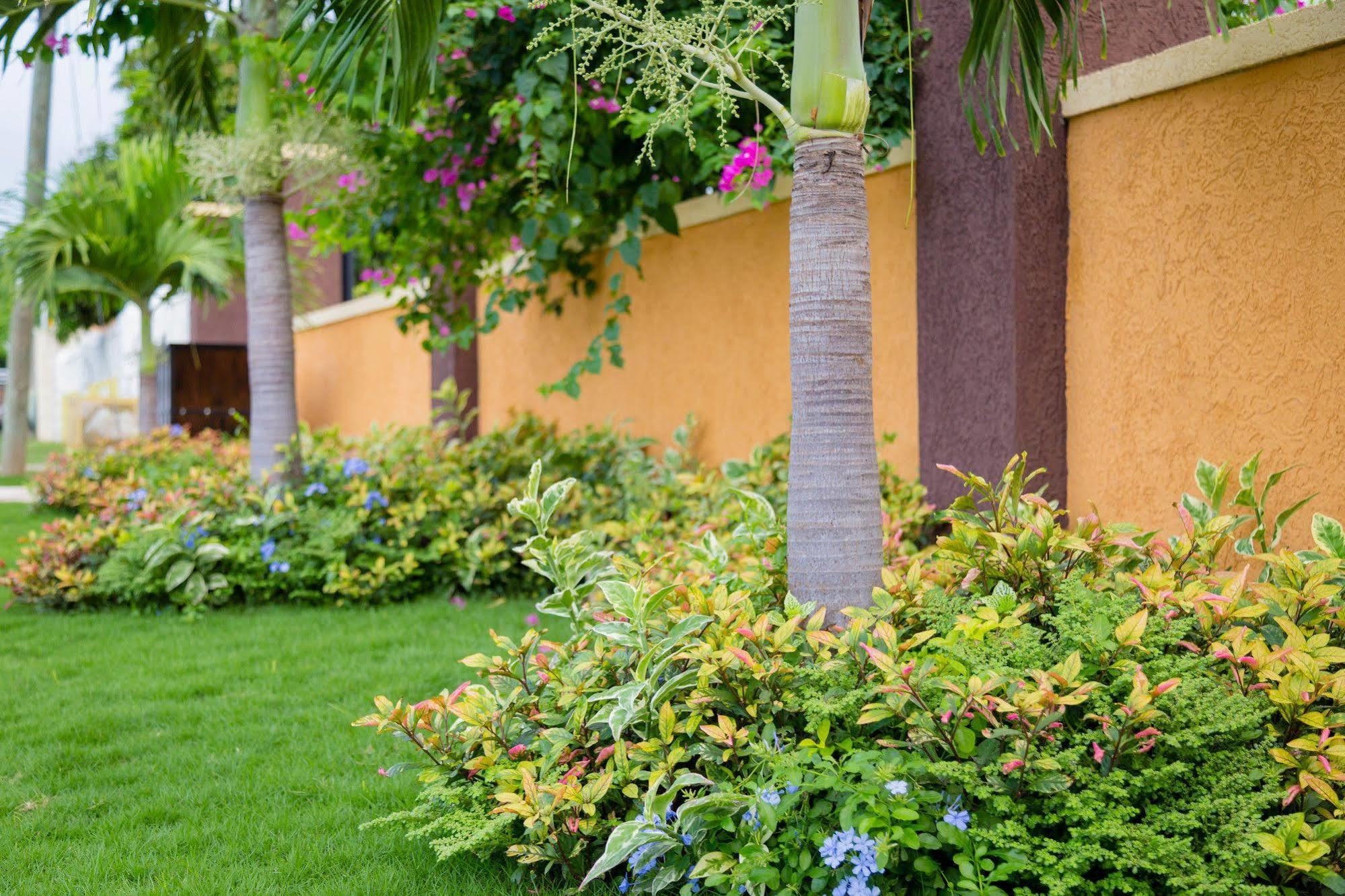 קינגסטון Centrally Located Guest Apartments מראה חיצוני תמונה