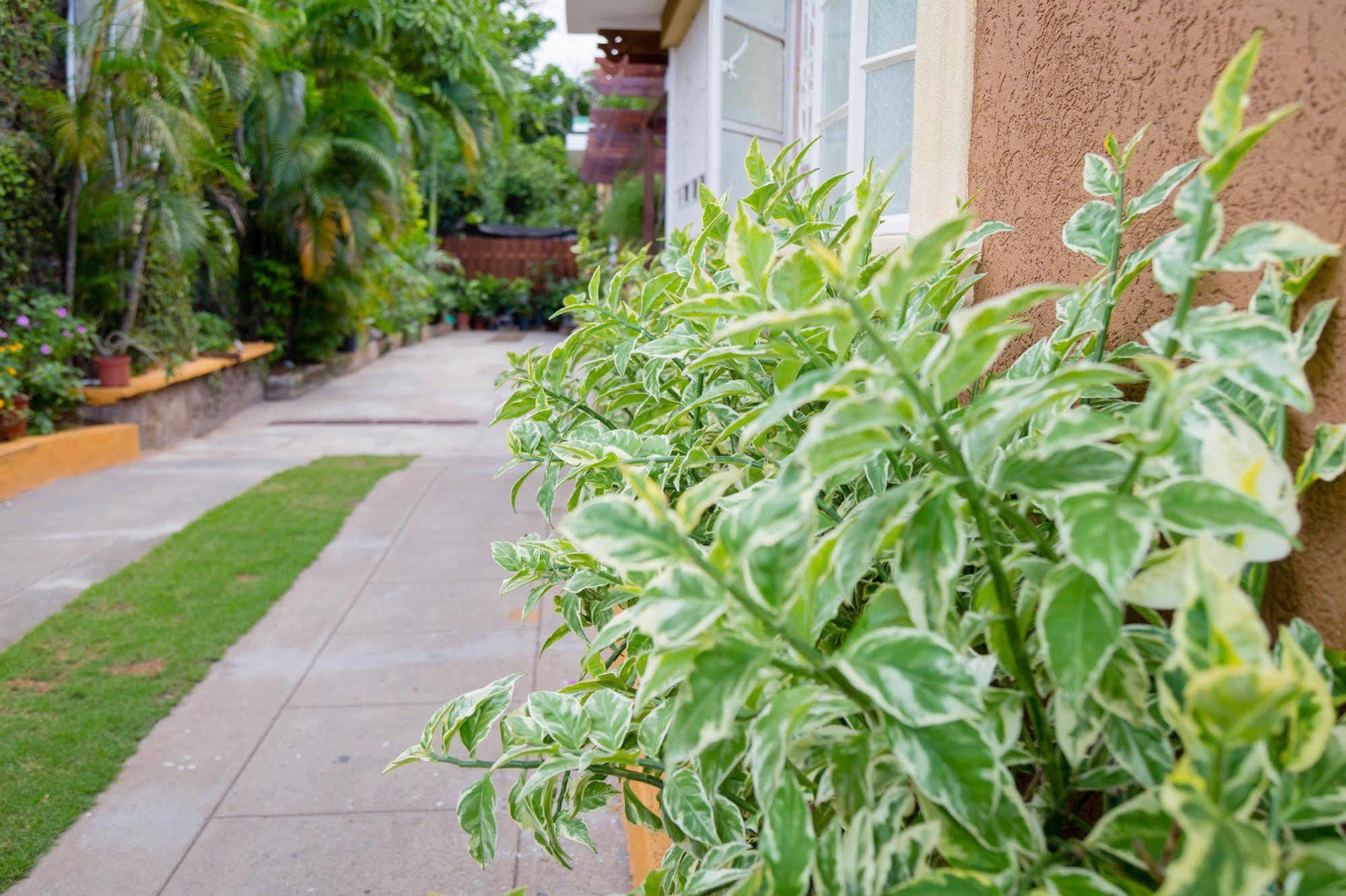קינגסטון Centrally Located Guest Apartments מראה חיצוני תמונה