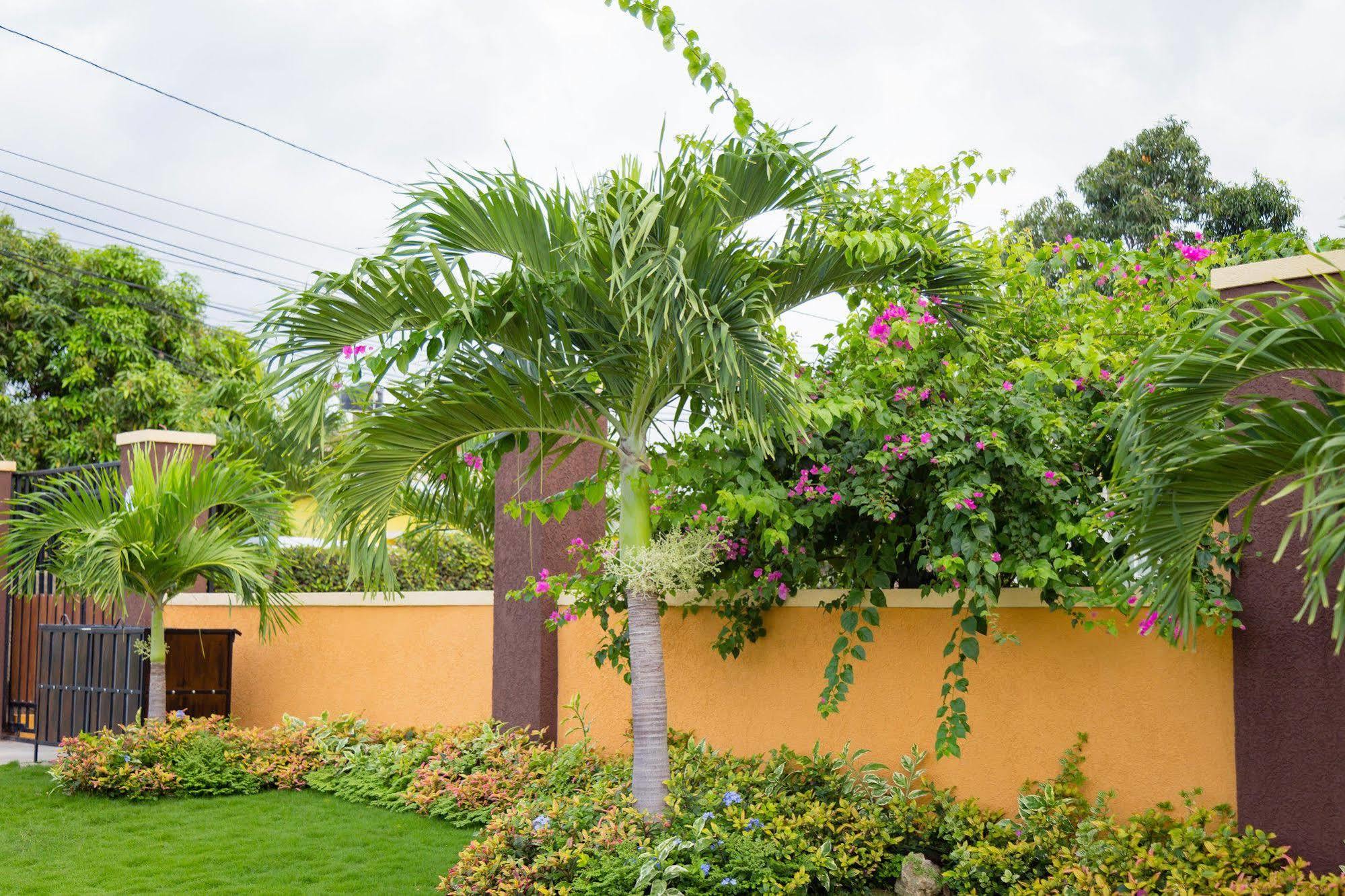 קינגסטון Centrally Located Guest Apartments מראה חיצוני תמונה